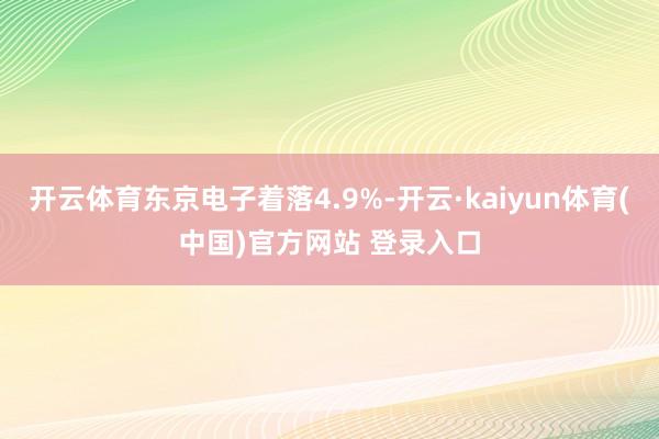 开云体育东京电子着落4.9%-开云·kaiyun体育(中国)官方网站 登录入口